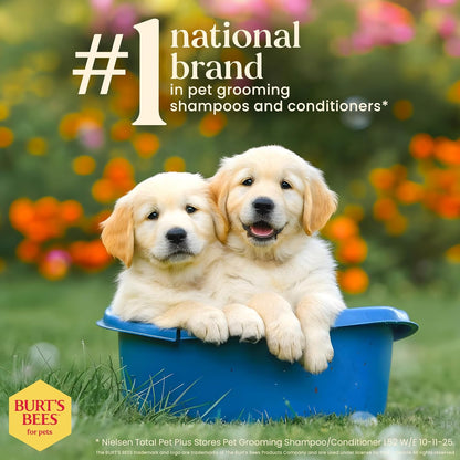 Burt’S Bees for Pets Tear Free Puppy Shampoo & Conditioner with Buttermilk, 2 in 1 Gentle Dog Shampoo for Puppies, Cleans and Conditions Sensitive Skin, 16 Fl Oz